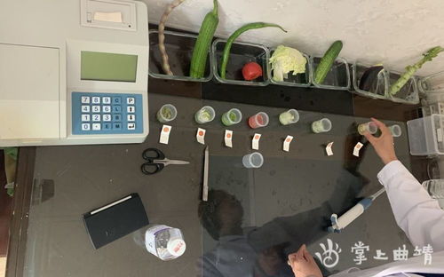 曲靖市“你送我检”免费快检活动 守护舌尖安全，筑牢安防防线